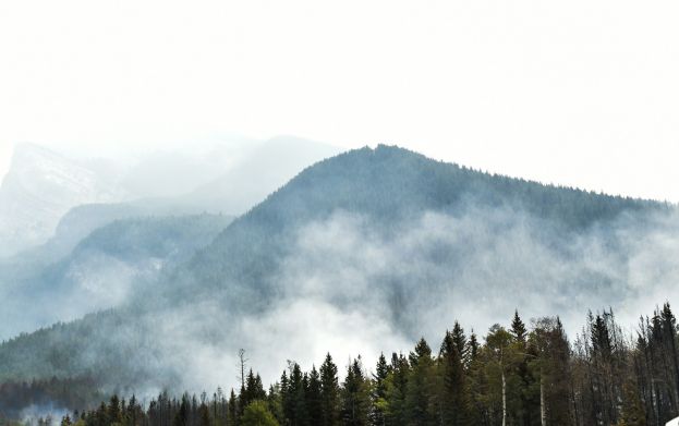 Η Επιτροπή εγκαινιάζει νέα στρατηγική για την αντιμετώπιση της αυξανόμενης απειλής δασικών πυρκαγιών
