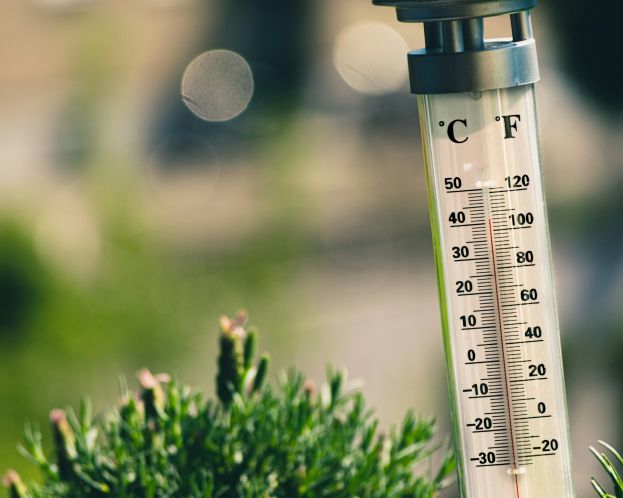 Ακαδημία Δράσης για το Κλίμα της ΕΕ Ο διαδικτυακός σας κόμβος γνώσης για τη δράση για το κλίμα