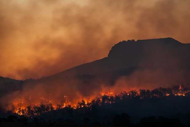Δασικές πυρκαγιές: Έκδοση σύστασης από το Συμβούλιο για ενίσχυση της ετοιμότητας και της πρόληψης